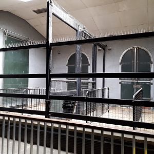 Zebra training stalls in the giraffe house