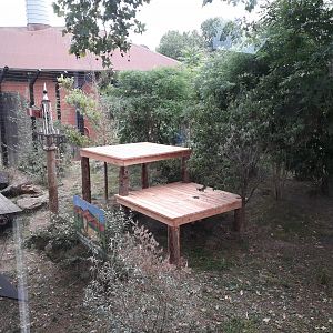 New platforms in second Asiatic Lion enclosure