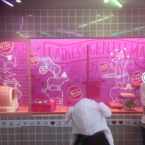 Harajyuku Zoo Cafe - Meerkat Tank