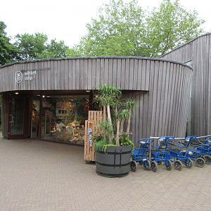 Gift Shop (very small for such a popular zoo)