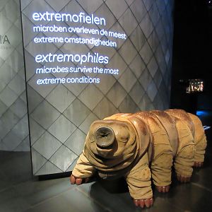Micropia - Water Bear Statue #2