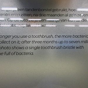 Micropia - Typically informative yet depressing fact