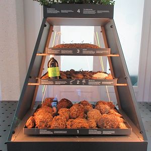 Micropia - 100 kilos of elephant poo on the bottom level