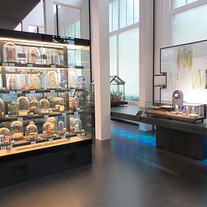 Micropia - Bottom Floor