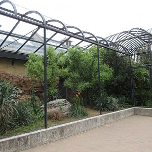 Bird House - Exterior Aviaries