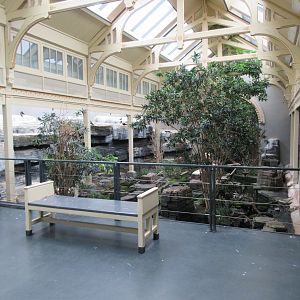 Bird House - First Room (Inca Tern Exhibit)