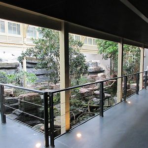 Bird House - First Room (Inca Tern Exhibit)