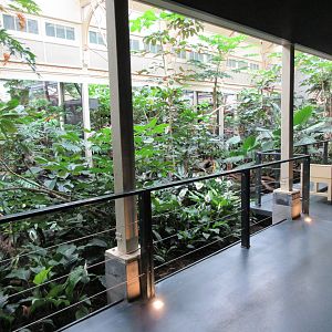 Bird House - Second Room