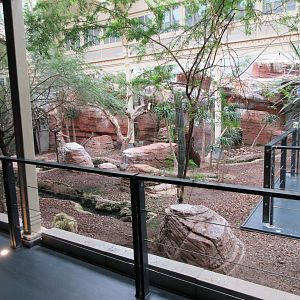 Bird House - Third Room