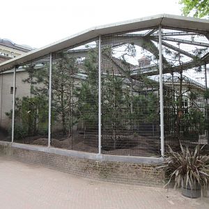 Alpine Marmot Exhibit (outside Forest House)