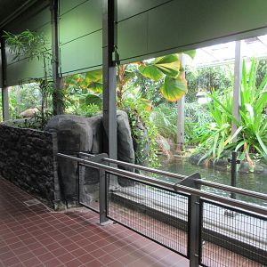 False Gharial Exhibits (male and female were separated)