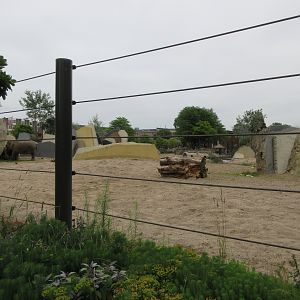 Asian Elephant Exhibit
