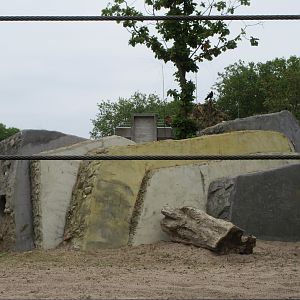 Asian Elephant Exhibit - baby elephant + weird cement structures