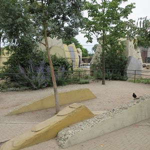 Asian Elephant Exhibit - immersive cement structures on visitor side