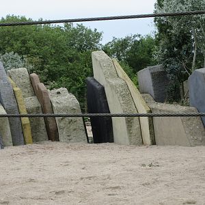 Asian Elephant Exhibit - weird cement structures