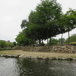 Savannah Exhibit (giraffes, zebras, gazelles, Greater Kudu)