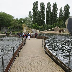 Asian Elephant Pool - innovative design