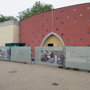 Asian Elephant Barn Construction