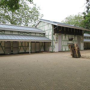 Giraffe + Antelope House (and side yard)