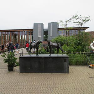 'The Two Cheetahs' (an outstanding restaurant)