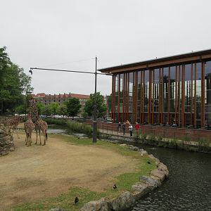 Savannah Exhibit + Tall Restaurant