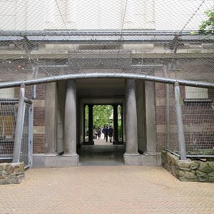 Griffon Vulture Aviary (overhead, middle section)