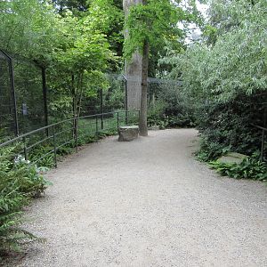 Wolf Forest (two separate exhibits)
