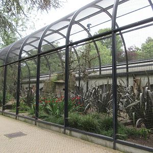 Large Aviary