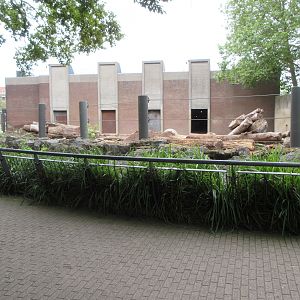 Asian Elephant Exhibit - side yard