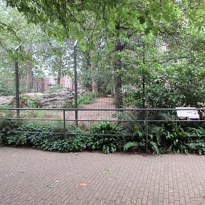 African Wild Dog Exhibit