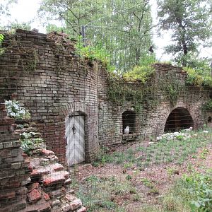 1922 'Ruins' - Snowy Owls + Red-Crowned Cranes