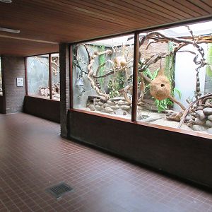 Small Mammal House