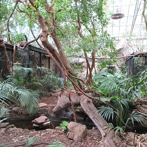 Small Mammal House - Ring-tailed Lemur Exhibit