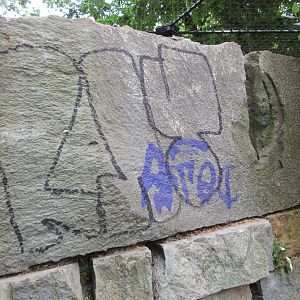 Jaguar Exhibit Graffiti