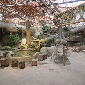 Zoo Entrance Area
