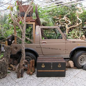 Reptile Section - jeep in pet shop