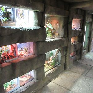 Reptile Terrariums (pet shop section)