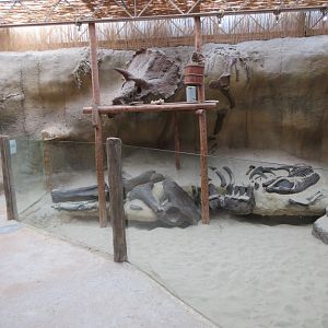 Archaeological Dig Site