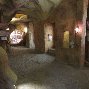 Empire of Pharaoh Choepuluku