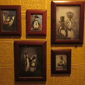 Penguin Family Photos