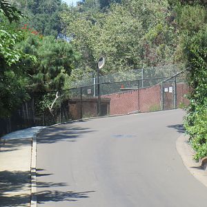 Western Tufted Deer Exhibit