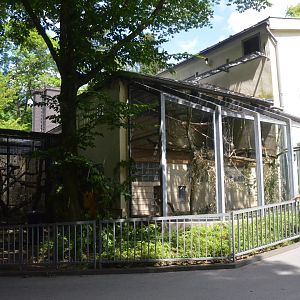 Monkey House at Wuppertal, 16/06/19