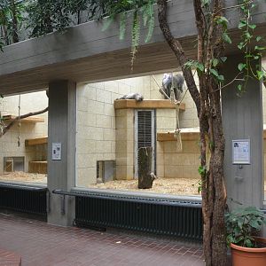 Monkey House at Wuppertal, 16/06/19