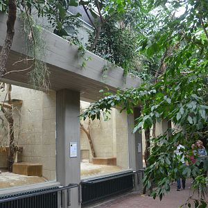 Monkey House at Wuppertal, 16/06/19