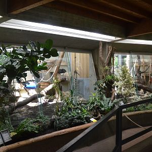 Ape House Interior at Wuppertal, 16/06/19