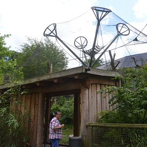 Chimpanzee/Bonobo Outdoor Enclosure at Wuppertal, 16/06/19