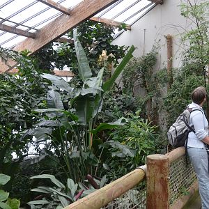 Bird House at Wuppertal, 16/06/19