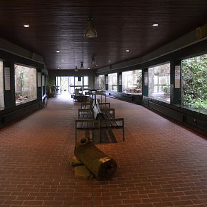 Bird House at Wuppertal, 16/06/19