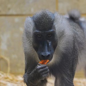 Drill at Wuppertal, 16/06/19