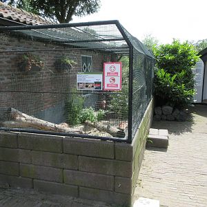Corsac Fox Exhibit